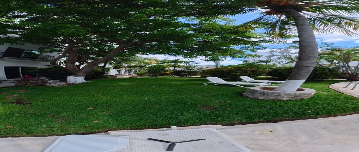 Foto de departamento en renta en  , del bosque, benito juárez, quintana roo, 0 No. 05