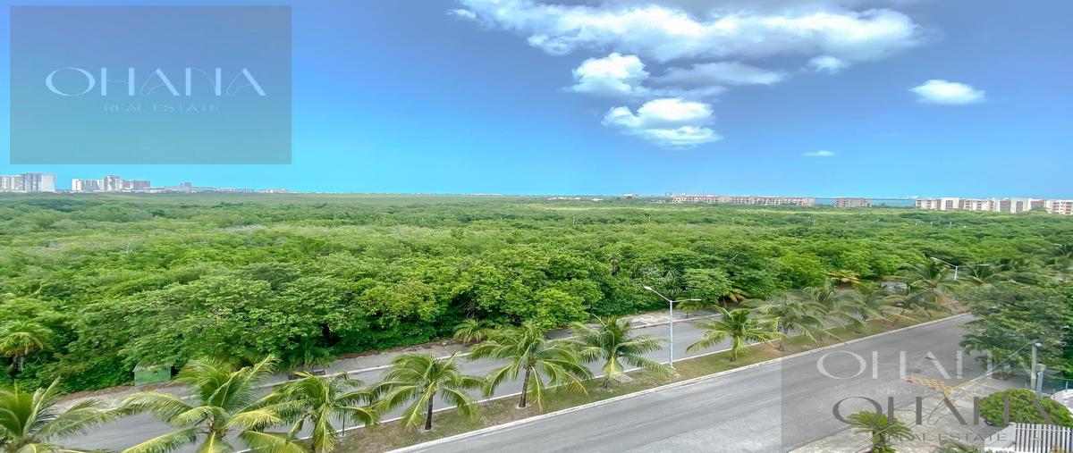 Foto de departamento en renta en  , del bosque, benito juárez, quintana roo, 31472291 No. 05