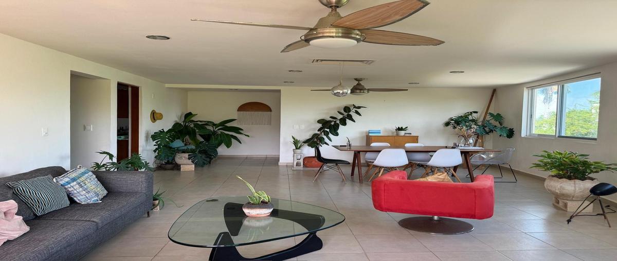 Foto de departamento en , del bosque, benito juárez, quintana roo, 0 foto 02 Foto de departamento en renta en , del bosque, benito juárez, quintana roo, 0 No. 02