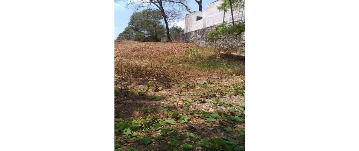 Foto de terreno habitacional en , del bosque, cuernavaca, morelos, 25660064 foto 05 Foto de terreno habitacional en venta en , del bosque, cuernavaca, morelos, 25660064 No. 05