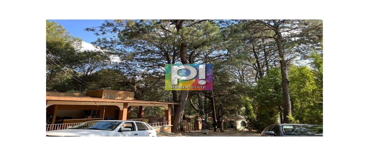 Foto de casa en venta en  , del bosque, cuernavaca, morelos, 26228430 No. 03