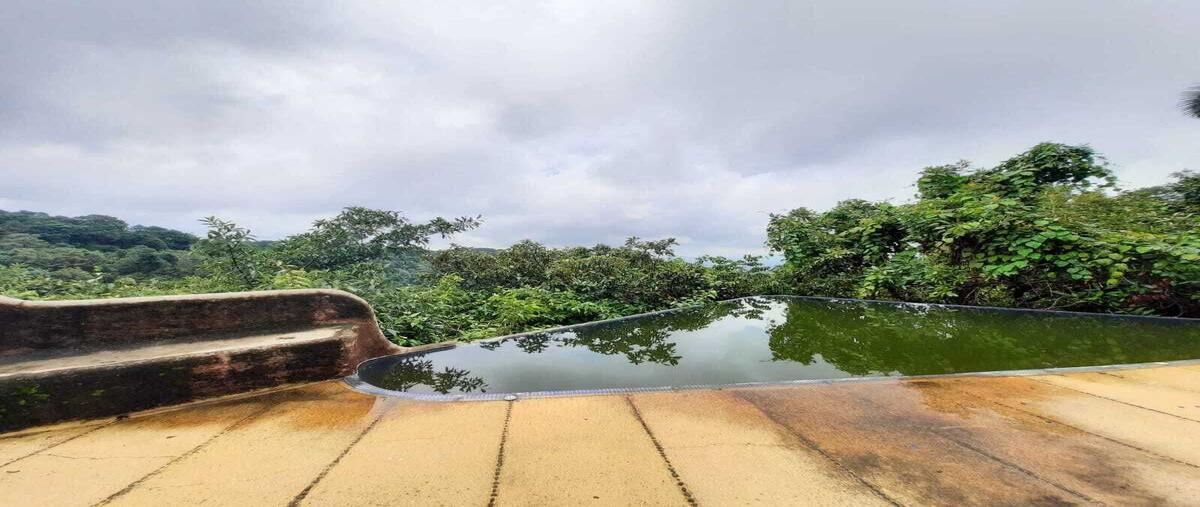 Foto de casa en venta en  , del bosque, cuernavaca, morelos, 27700217 No. 05