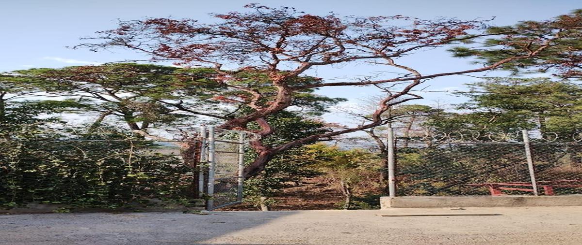 Foto de terreno habitacional en venta en  , del bosque, cuernavaca, morelos, 0 No. 03