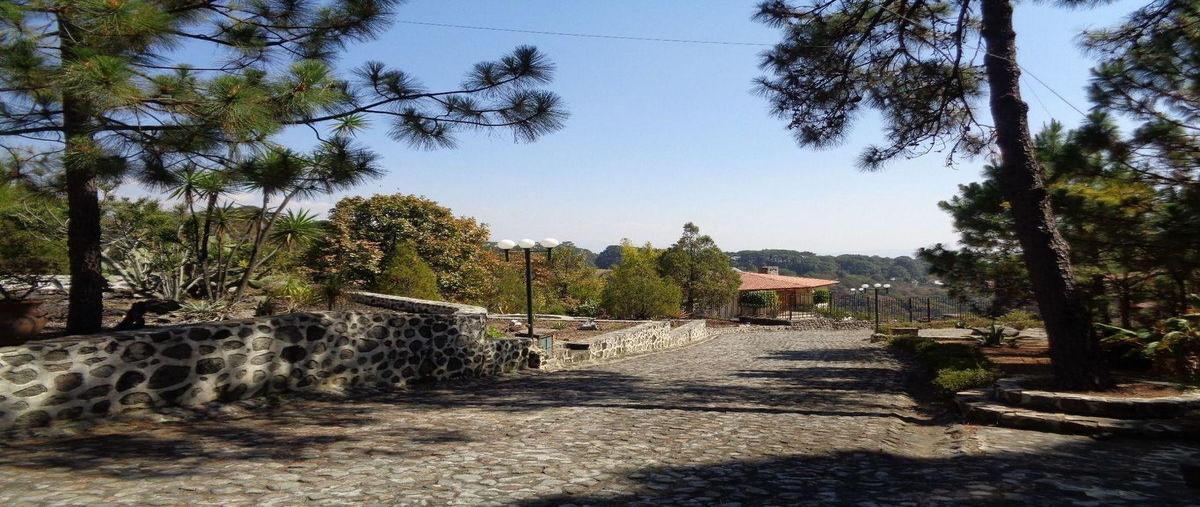 Foto de casa en venta en  , del bosque, cuernavaca, morelos, 0 No. 03