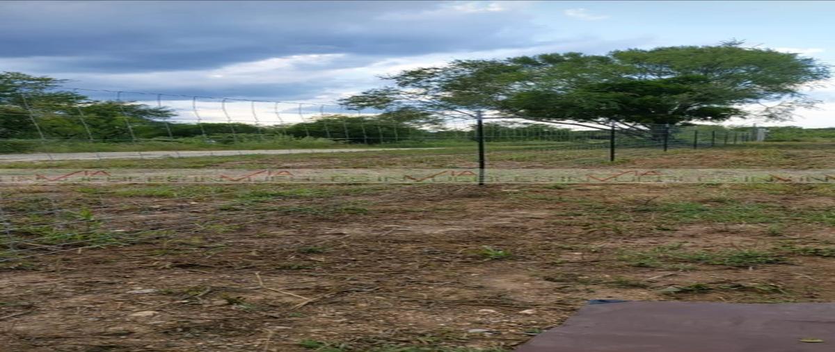 Foto de terreno habitacional en venta en  , del bosque, montemorelos, nuevo león, 25912119 No. 04