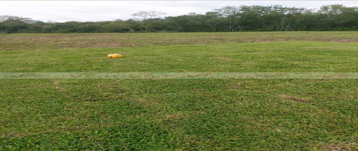 Foto de terreno habitacional en venta en  , del bosque, montemorelos, nuevo león, 25912119 No. 05