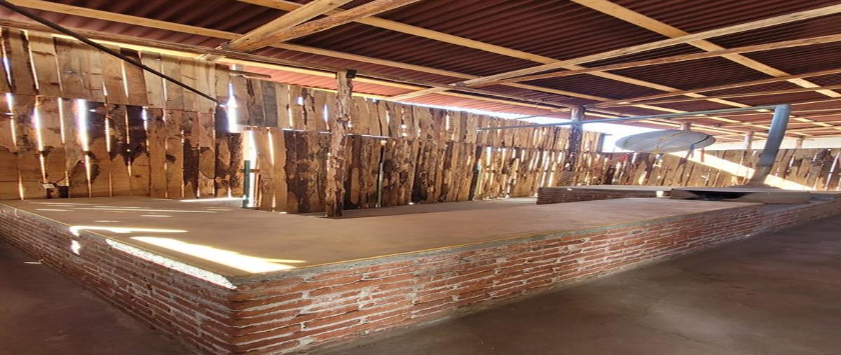 Foto de local en renta en  , del bosque norte, santa lucía del camino, oaxaca, 0 No. 04