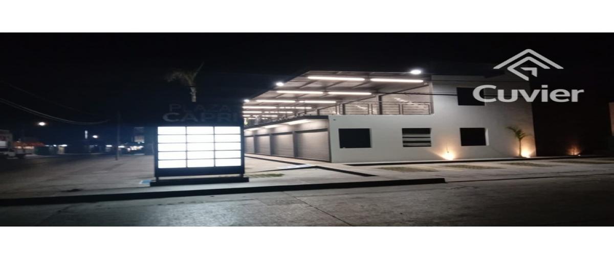 Foto de local en renta en  , del bosque, tampico, tamaulipas, 0 No. 03