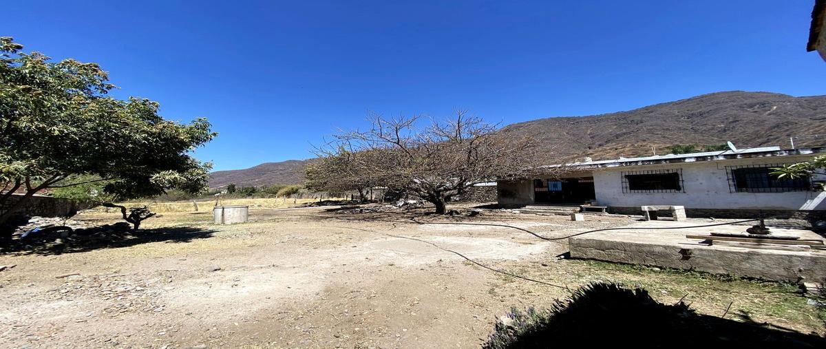 Foto de terreno habitacional en venta en del cardenal norte , san juan cosala, jocotepec, jalisco, 27346730 No. 02
