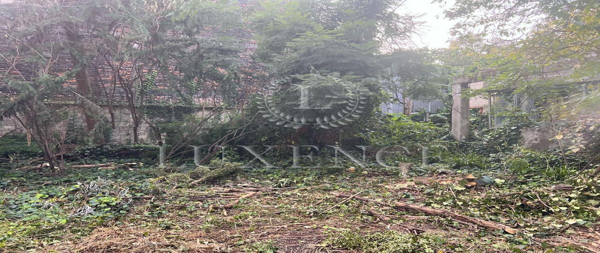 Foto de terreno habitacional en venta en  , del carmen, coyoacán, df / cdmx, 27712634 No. 04