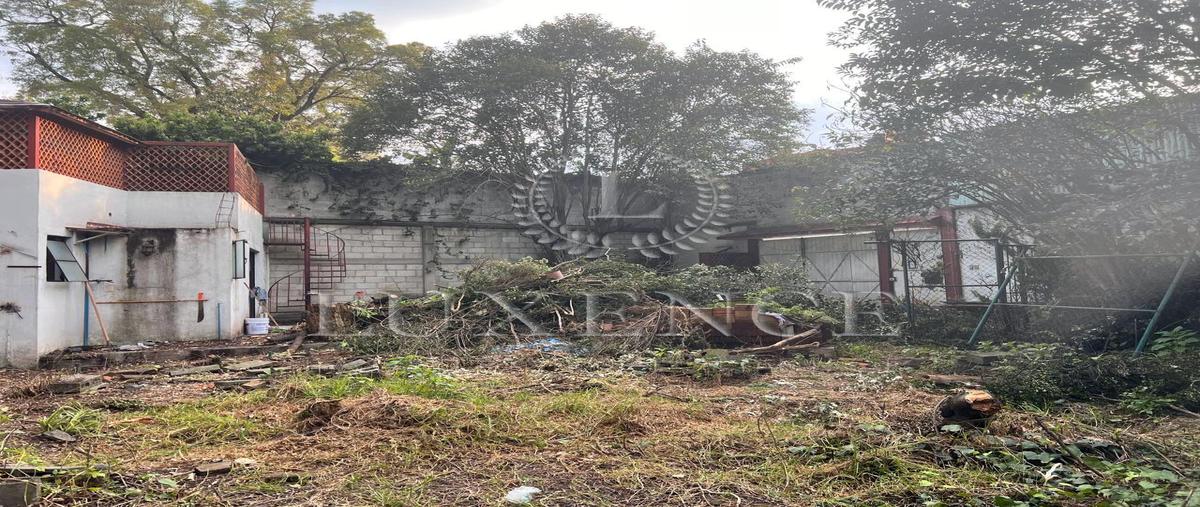 Foto de terreno habitacional en venta en  , del carmen, coyoacán, df / cdmx, 27712634 No. 05