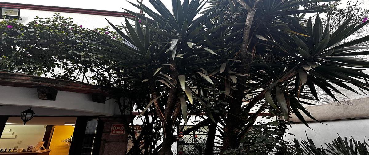 Foto de oficina en renta en  , del carmen, coyoacán, df / cdmx, 0 No. 04
