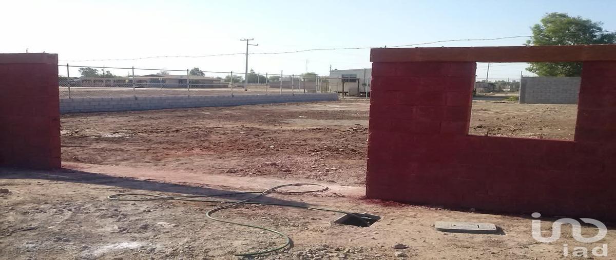 Foto de terreno habitacional en venta en del descanso , el pacifico, mexicali, baja california, 30411996 No. 03