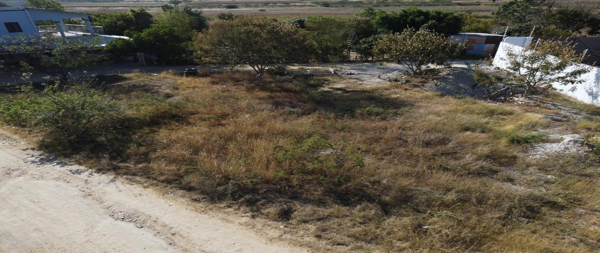 Foto de terreno habitacional en venta en del higo , san sebastián etla, san pablo etla, oaxaca, 30713866 No. 05