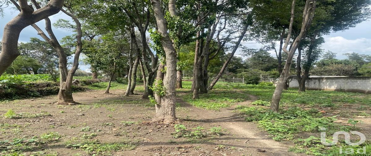 Foto de terreno habitacional en venta en del jardin 120, san diego metepec, tlaxcala, tlaxcala, 28719845 No. 03