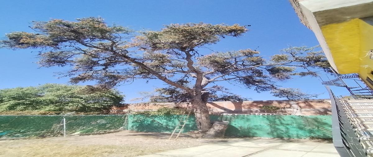 Foto de departamento en del llano , san miguel de allende centro, san miguel de allende, guanajuato, 0 foto 04 Foto de departamento en renta en del llano , san miguel de allende centro, san miguel de allende, guanajuato, 0 No. 04