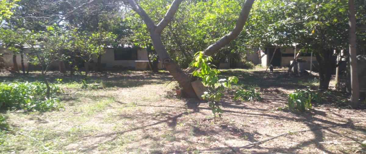 Foto de terreno habitacional en venta en  , del maestro, oaxaca de juárez, oaxaca, 0 No. 03