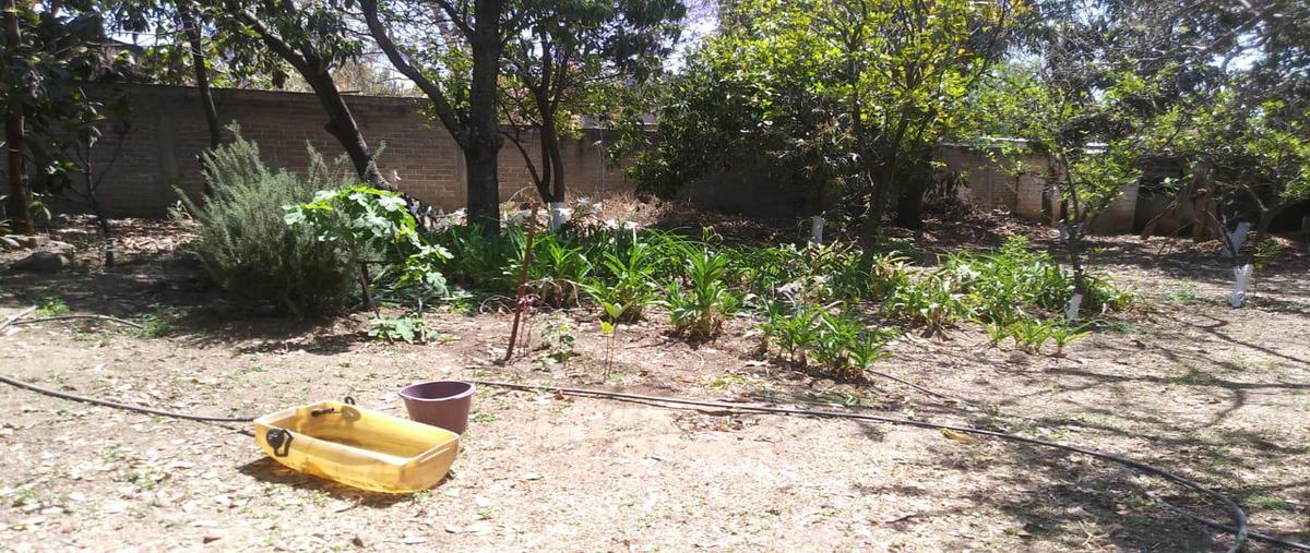 Foto de terreno habitacional en venta en  , del maestro, oaxaca de juárez, oaxaca, 0 No. 04