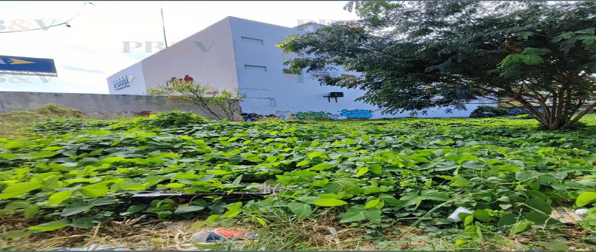 Foto de terreno habitacional en venta en  , del maestro, veracruz, veracruz de ignacio de la llave, 0 No. 04