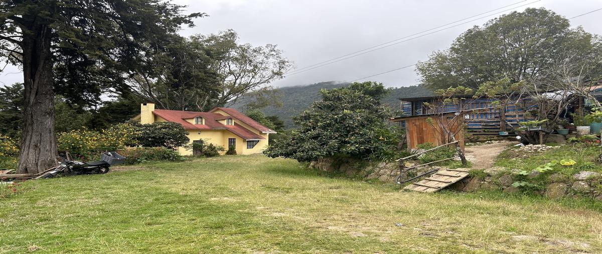 Foto de terreno comercial en del molino , lomas de huitepec, san cristóbal de las casas, chiapas, 30504482 foto 03 Foto de terreno comercial en venta en del molino , lomas de huitepec, san cristóbal de las casas, chiapas, 30504482 No. 03