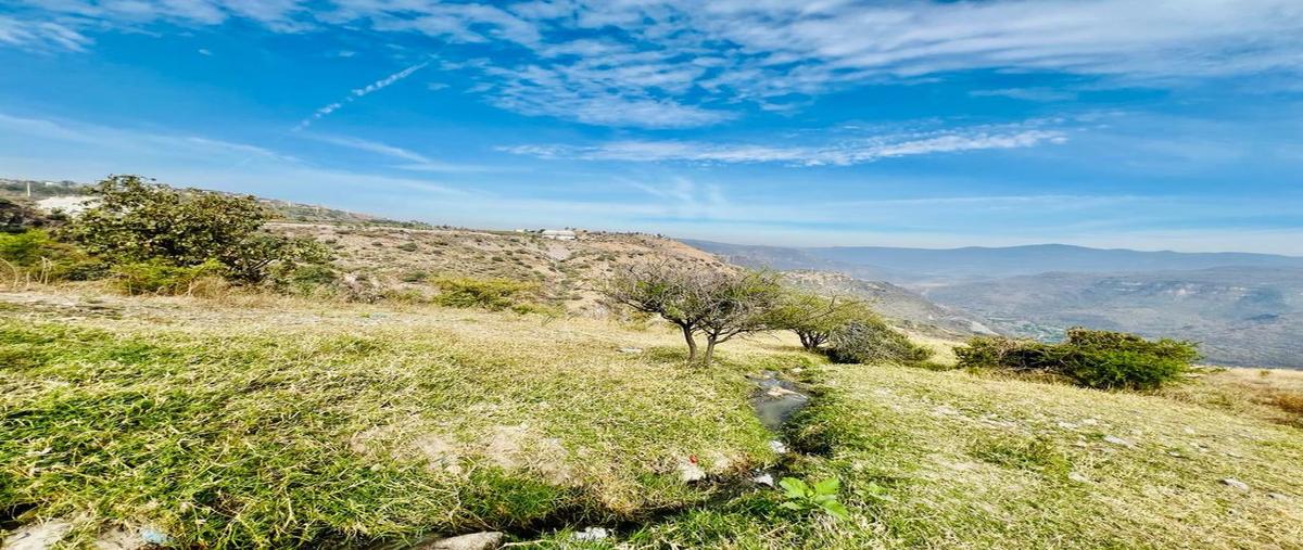 Foto de terreno habitacional en del nogal 1090, mirador escondido, zapopan, jalisco, 0 foto 03 Foto de terreno habitacional en venta en del nogal 1090, mirador escondido, zapopan, jalisco, 0 No. 03