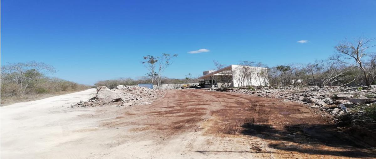 Foto de terreno habitacional en , del norte, mérida, yucatán, 9327229 foto 04 Foto de terreno habitacional en venta en , del norte, mérida, yucatán, 9327229 No. 04