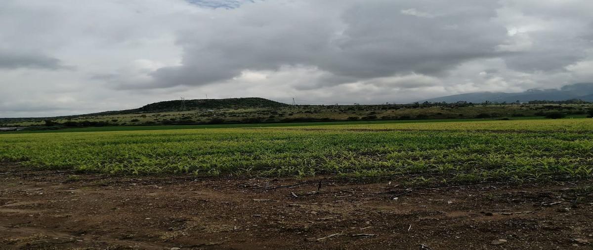 Foto de terreno habitacional en venta en del riel , la llave, san juan del río, querétaro, 0 No. 04