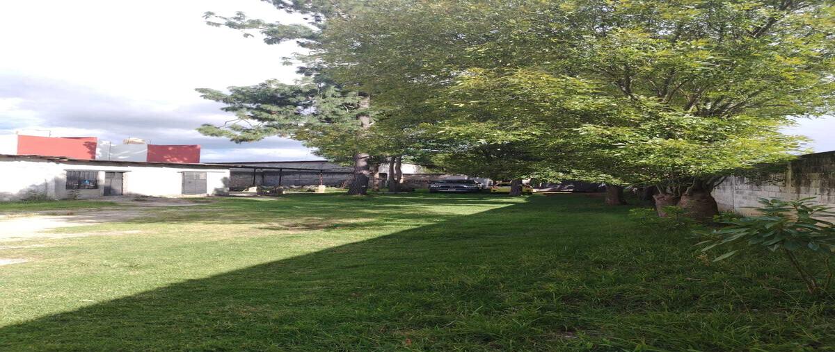 Foto de terreno habitacional en renta en del sol , bismark, san cristóbal de las casas, chiapas, 0 No. 04