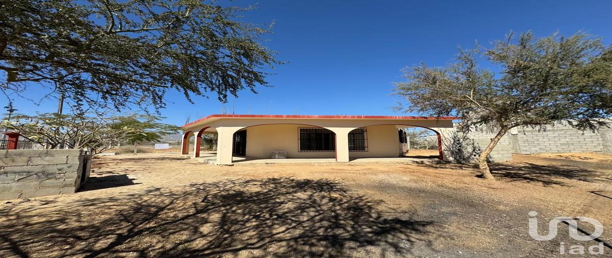 Foto de casa en renta en del tule 78, buenos aires, los cabos, baja california sur, 31644701 No. 03