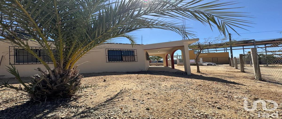 Foto de casa en renta en del tule 78, buenos aires, los cabos, baja california sur, 31644701 No. 04