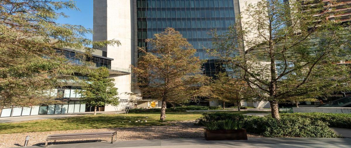 Foto de local en , del valle oriente, san pedro garza garcía, nuevo león, 26713420 foto 05 Foto de local en renta en , del valle oriente, san pedro garza garcía, nuevo león, 26713420 No. 05