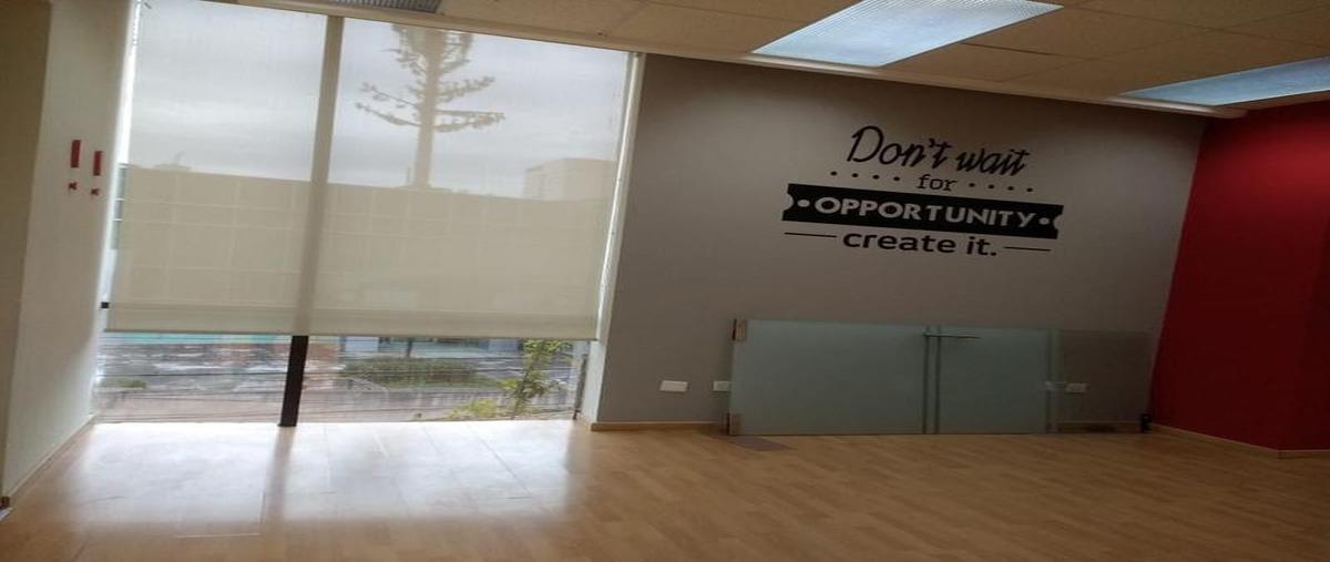 Foto de oficina en renta en  , del valle, san pedro garza garcía, nuevo león, 0 No. 05