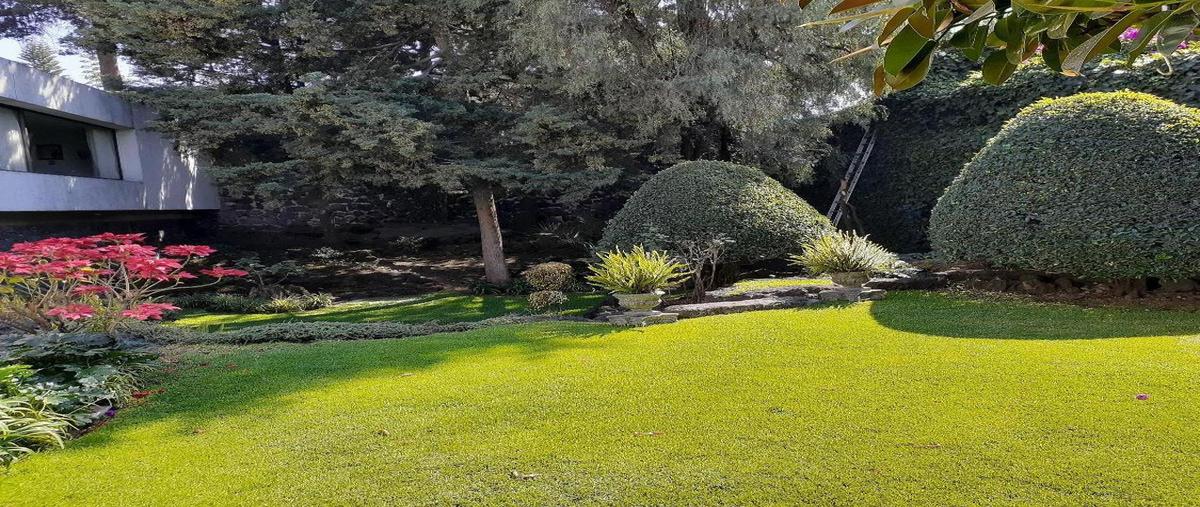 Foto de casa en venta en  , delegación política álvaro obregón, álvaro obregón, df / cdmx, 27712614 No. 04