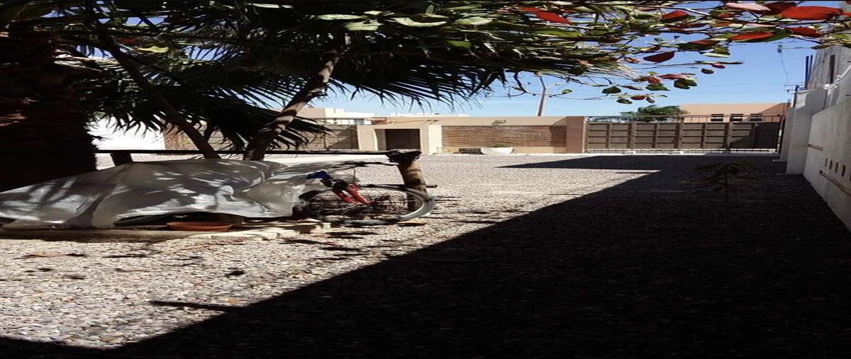 Foto de departamento en delfines , sector la selva fidepaz, la paz, baja california sur, 31015700 foto 05 Foto de departamento en renta en delfines , sector la selva fidepaz, la paz, baja california sur, 31015700 No. 05