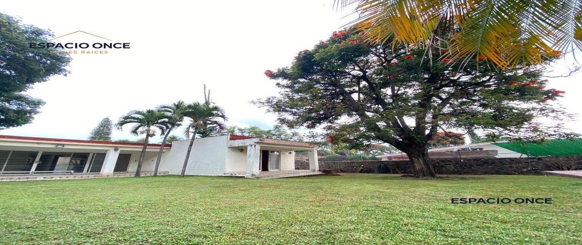 Foto de terreno habitacional en venta en  , delicias, cuernavaca, morelos, 22414574 No. 05