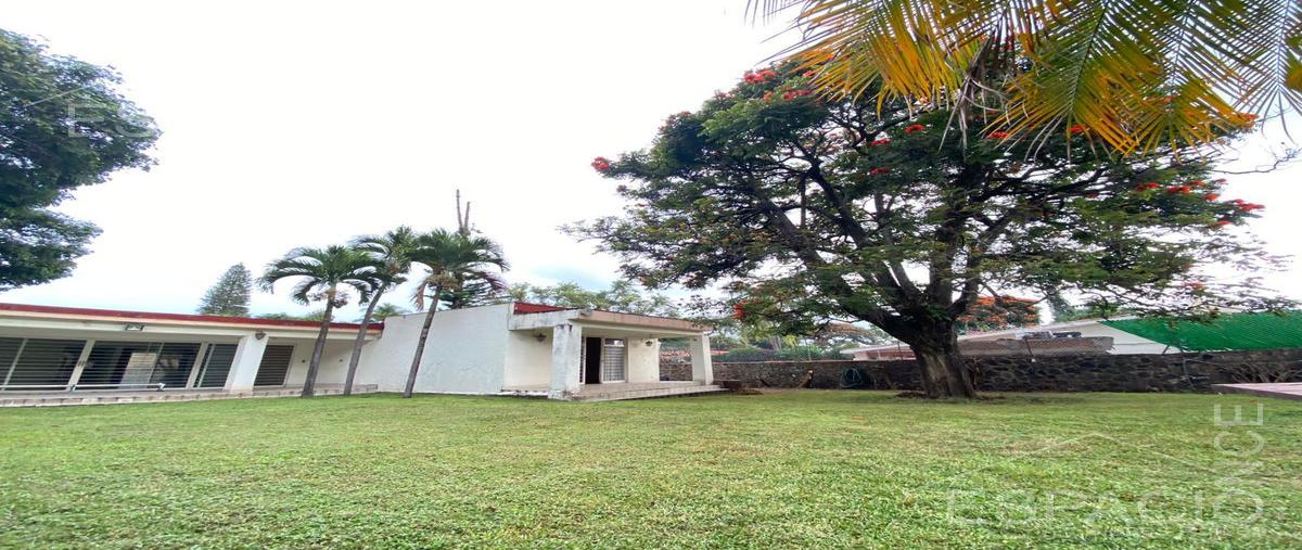 Foto de terreno habitacional en venta en  , delicias, cuernavaca, morelos, 22414574 No. 05