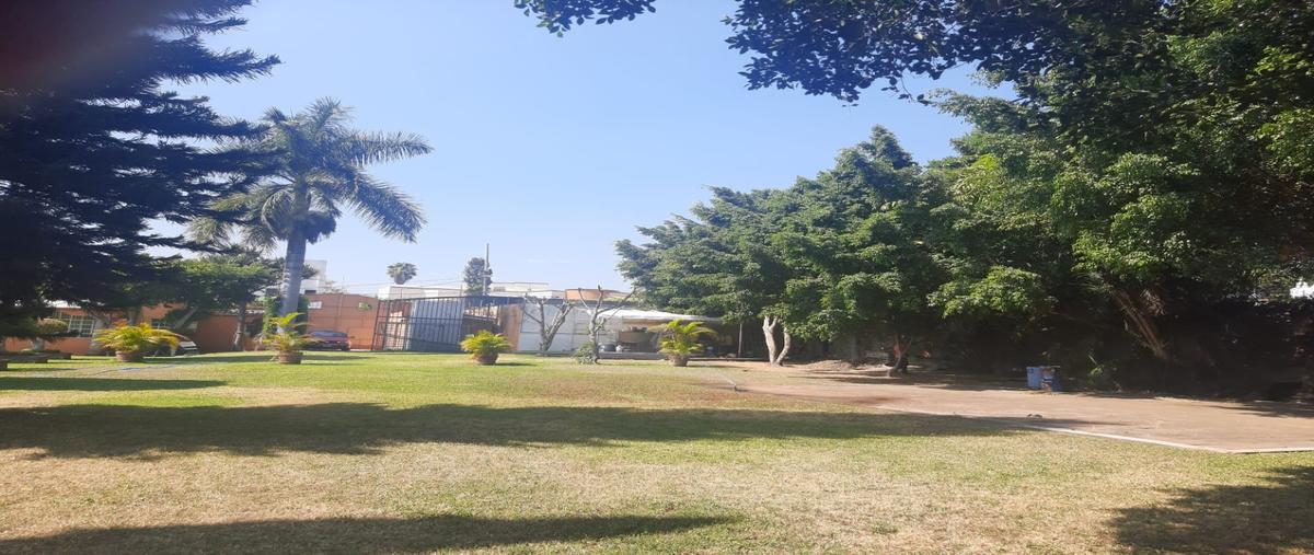 Foto de terreno habitacional en venta en  , delicias, cuernavaca, morelos, 23880374 No. 03