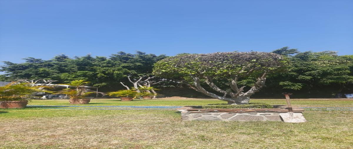 Foto de terreno habitacional en venta en  , delicias, cuernavaca, morelos, 23880374 No. 04