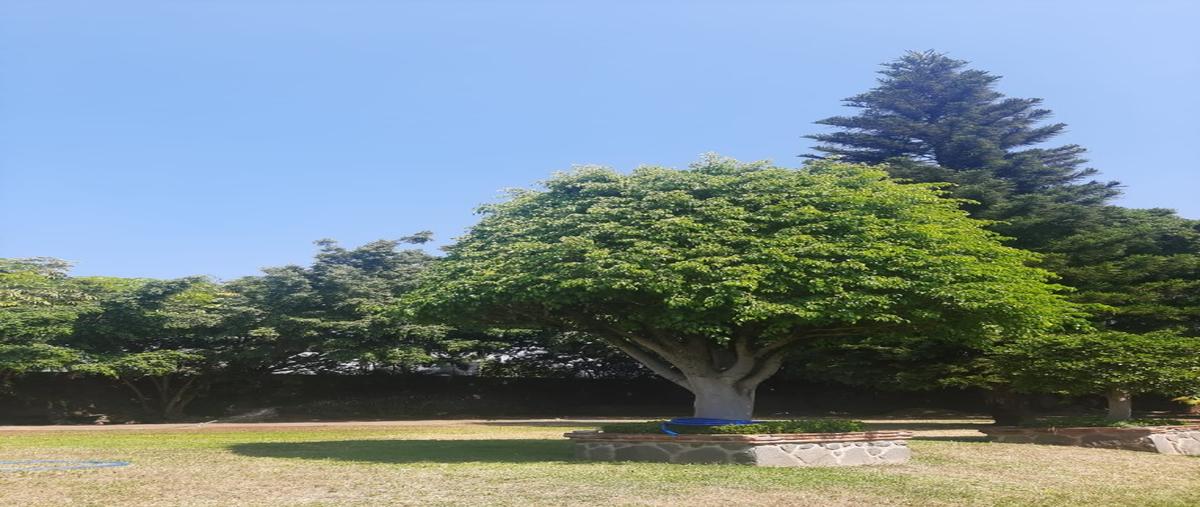 Foto de terreno habitacional en venta en  , delicias, cuernavaca, morelos, 23880374 No. 05