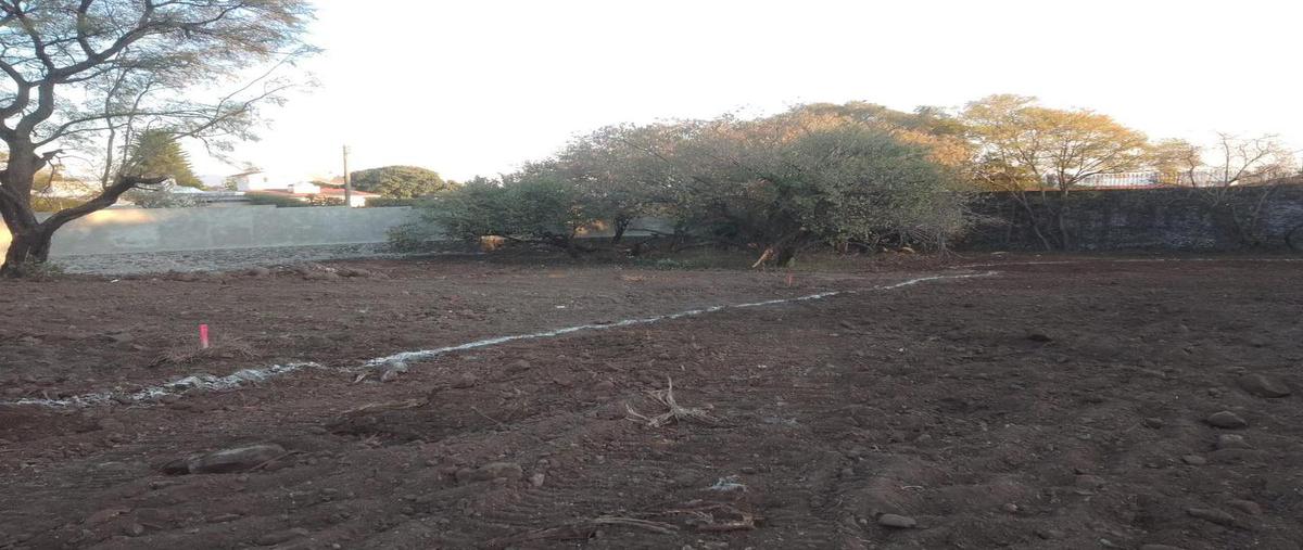 Foto de terreno habitacional en venta en  , delicias, cuernavaca, morelos, 0 No. 03