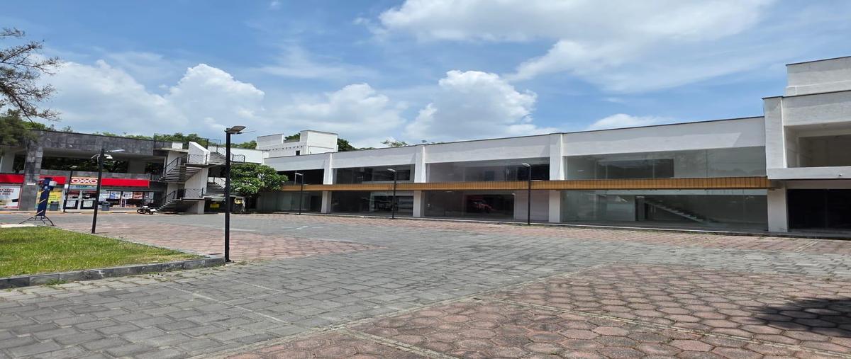 Foto de local en renta en  , delicias, cuernavaca, morelos, 30221611 No. 03