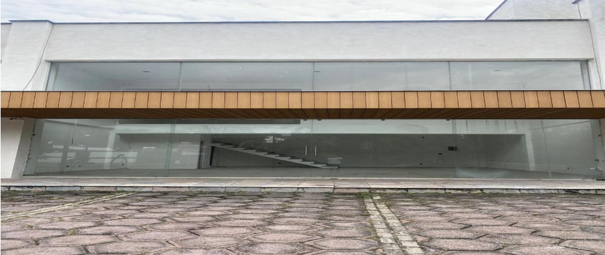 Foto de local en renta en  , delicias, cuernavaca, morelos, 0 No. 04