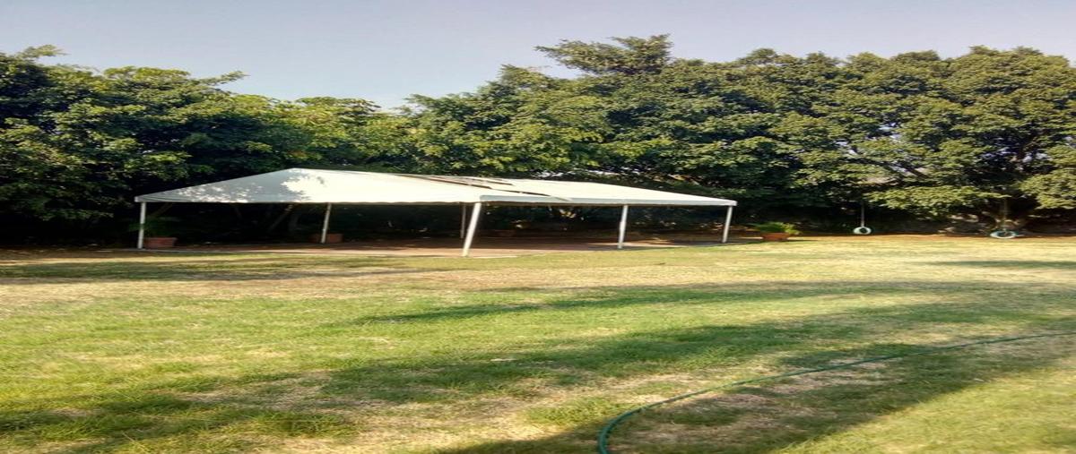 Foto de terreno habitacional en venta en  , delicias, cuernavaca, morelos, 30647716 No. 04