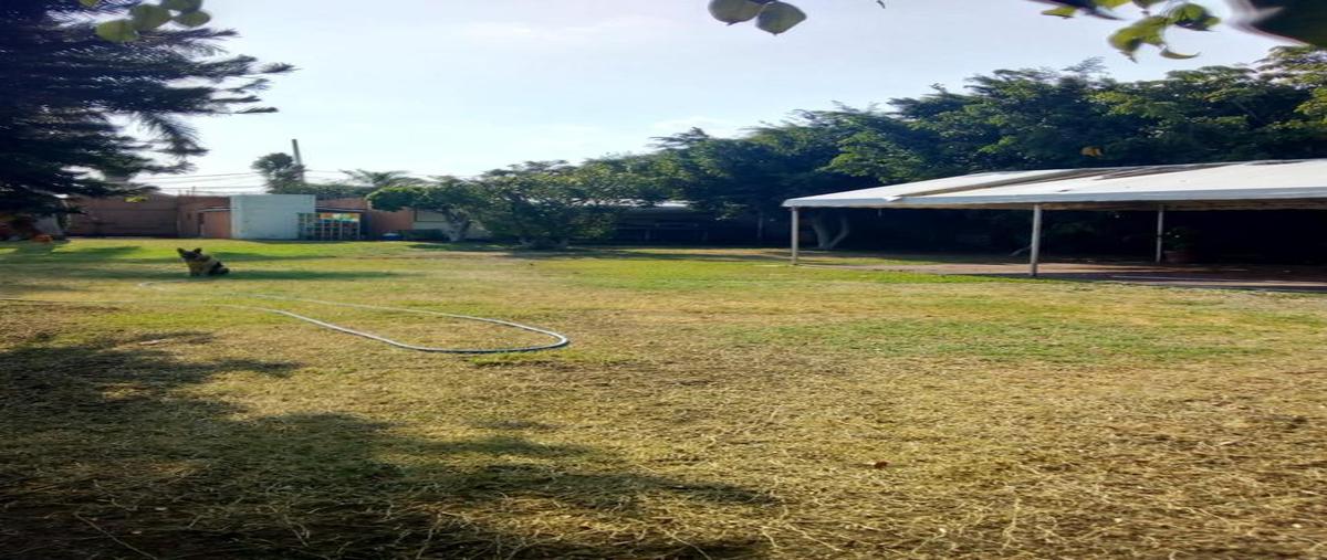 Foto de terreno habitacional en venta en  , delicias, cuernavaca, morelos, 30647716 No. 05