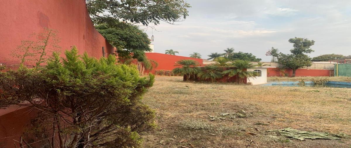 Foto de casa en renta en  , delicias, cuernavaca, morelos, 0 No. 05