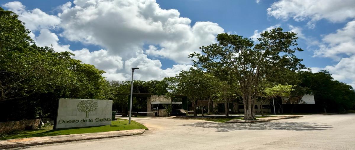 Foto de terreno habitacional en venta en  , delicias del sur, benito juárez, quintana roo, 31463210 No. 03