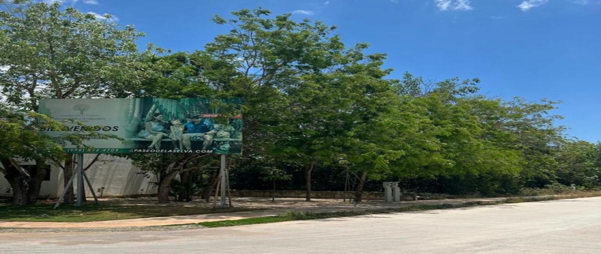 Foto de terreno habitacional en venta en  , delicias del sur, benito juárez, quintana roo, 0 No. 03