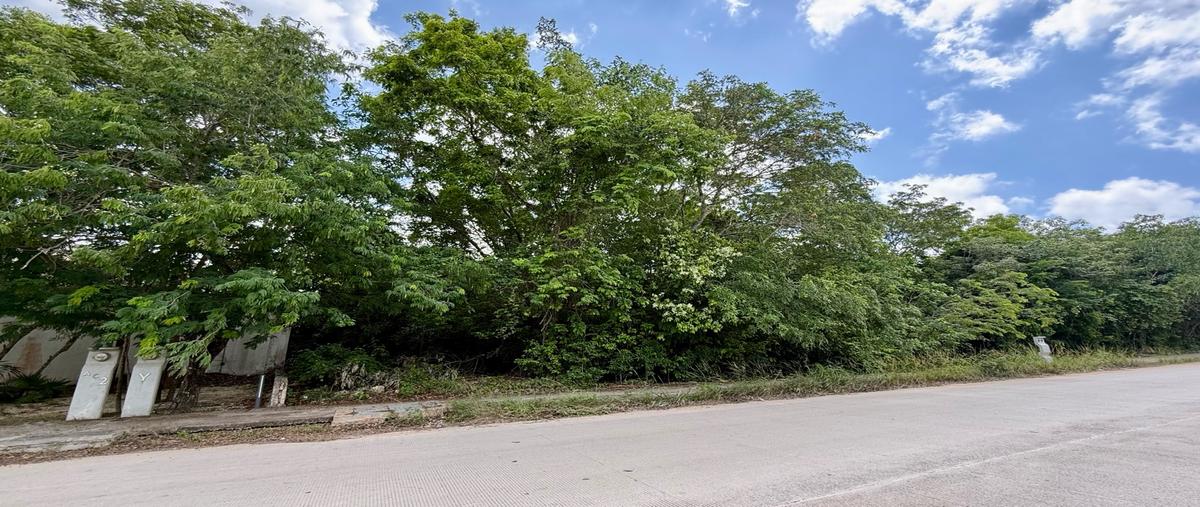 Foto de terreno habitacional en venta en  , delicias del sur, benito juárez, quintana roo, 31463211 No. 05