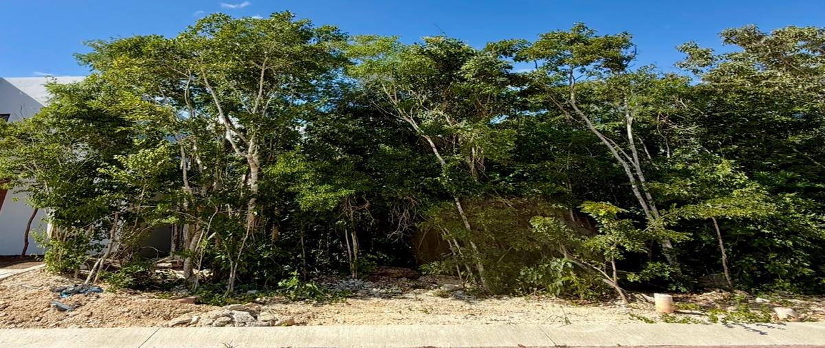 Foto de terreno habitacional en venta en  , delicias del sur, benito juárez, quintana roo, 0 No. 03