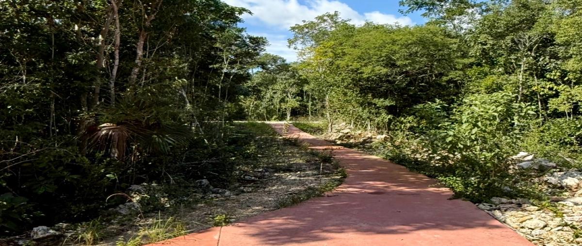 Foto de terreno habitacional en venta en  , delicias del sur, benito juárez, quintana roo, 0 No. 04
